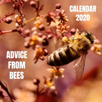 Paperback Advice From Bees Photo Book Calendar 2020 with Bee inspirational quotes Book