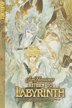 Paperback Return to Labyrinth, Volume 2 Book
