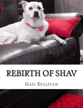 Paperback Rebirth of Shav Book