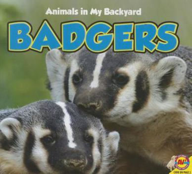 Paperback Badgers Book