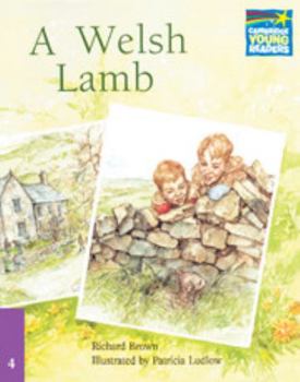 Paperback A Welsh Lamb Book