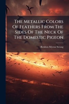 The Metallic Colors Of Feathers From The Sides Of The Neck Of The Domestic Pigeon...