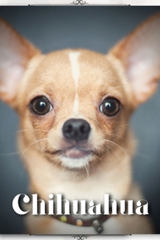 Paperback Chihuahua: Dog breed overview and guide Book