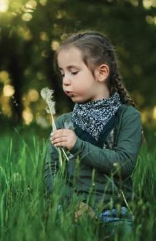 Paperback The Hacker-Proof Internet Address Password Book - Dandelion Girl: Alphabetical Website Username & Password Organizer Logbook Notebook Book