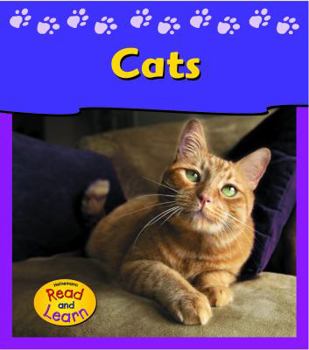 Paperback Cats (Pets at My House) Book