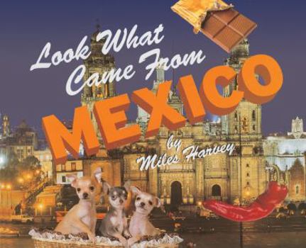 School & Library Binding Look What Came from Mexico Book