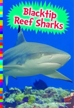 Paperback Blacktip Reef Sharks Book