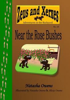 Paperback Near the Rose Bushes Book