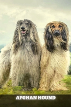 Paperback Afghan Hound: Complete breed guide Book