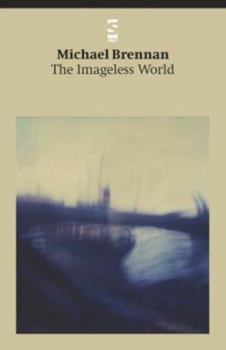 Paperback The Imageless World Book