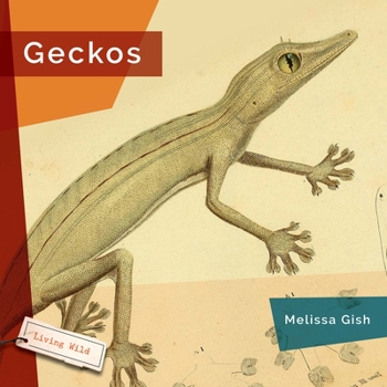 Hardcover Geckos Book
