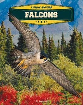 Falcons - Book  of the Xtreme Raptors