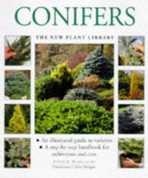 Hardcover Conifers Book