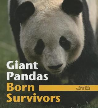 Paperback Giant Pandas: Born Survivors Book
