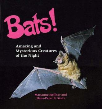 Library Binding Bats!: Amazing and Mysterious Creatures of the Night Book