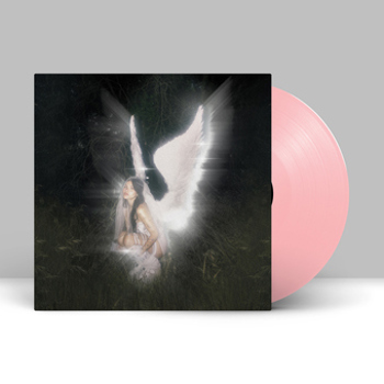 Vinyl Young Forever Book