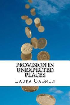 Paperback Provision in Unexpected Places Book