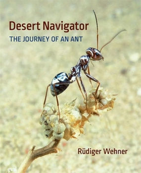 Hardcover Desert Navigator: The Journey of an Ant Book