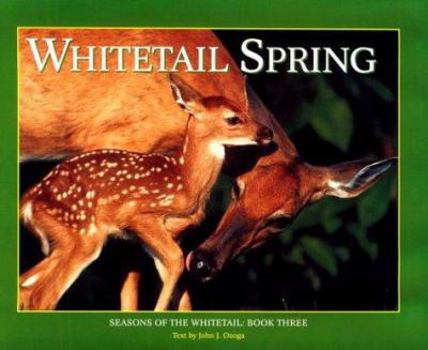 Hardcover Whitetail Spring Book