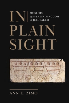 Hardcover In Plain Sight: Muslims of the Latin Kingdom of Jerusalem Book
