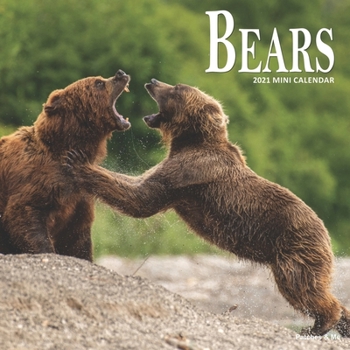 Bears: 2021 Calendar