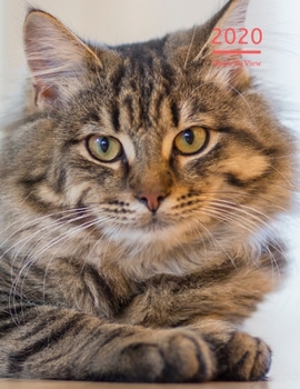 2020 A4 Diary Week To View Planner For All Occasions: | Year Planner For Business, Office, Home, University, College, School, Appointments, Organizer.