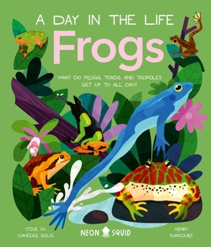 Hardcover Frogs (a Day in the Life): What Do Frogs, Toads, and Tadpoles Get Up to All Day? Book