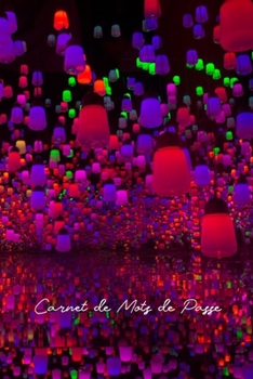 Carnet de Mots de Passe: Idéal pour les personnes âgées et celles qui ont plusieurs comptes, ce carnet de mots de passe Internet vous aide à faire le ... Lumières Colorées) (French Edition)