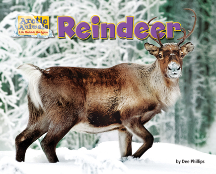 Reindeer - Book  of the Arctic Animals: Life Outside the Igloo