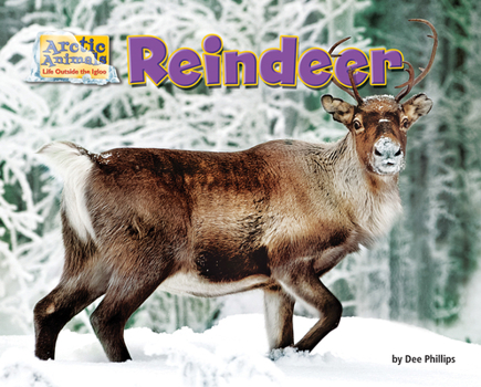 Paperback Reindeer Book