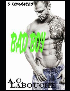 Paperback Bad Boy: 22 Stories: M/M, Bi & BBC Book