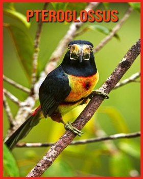 Pteroglossus: Recueil d'Informations Amusantes pour Enfants & Photos Etonnantes