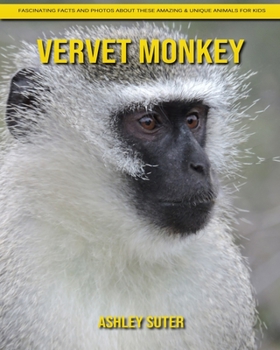 Paperback Vervet Monkey: Fascinating Facts and Photos about These Amazing & Unique Animals for Kids Book