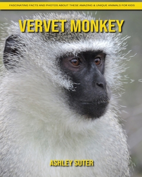 Vervet Monkey: Fascinating Facts and Photos about These Amazing & Unique Animals for Kids