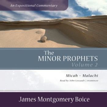 Audio CD The Minor Prophets: Micah-Malachi - Library Edition (Expositional Commentary, 2) Book