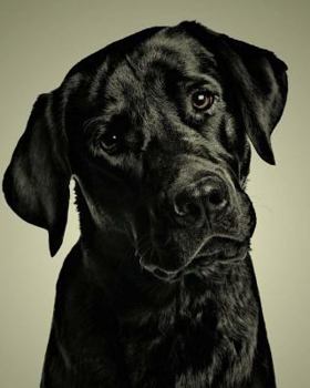 Paperback Labrador Retriever: Artified Pets Journal/Notebook/Diary, 160 Lined Pages Book