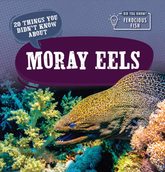 Library Binding 20 Things You Didn't Know about Moray Eels Book