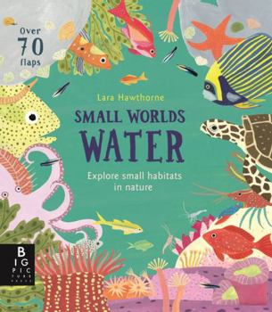 Board book Small Worlds: Water Book