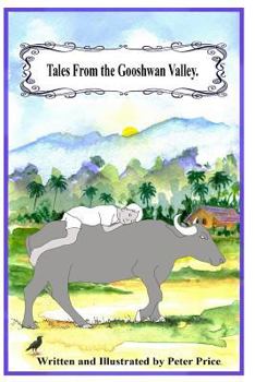 Paperback Tales from the Gooshwan Valley. Book