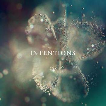Vinyl Intentions (2 LP) Book