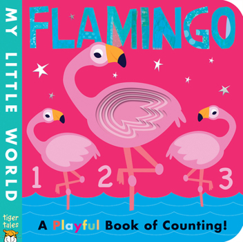 Board book Flamingo: A Playful Book of Counting! Book