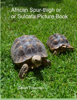 Paperback African Spur-thigh or Sulcata Tortoise Picture Book