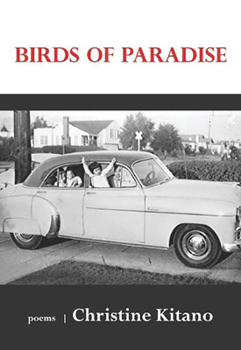 Paperback Birds of Paradise Book