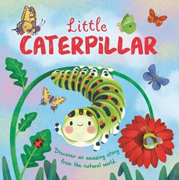 Board book Nature Stories: Little Caterpillar: Discover Amazing Story from the Natural World! Padded Board Book