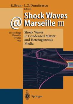Paperback Shock Waves @ Marseille III: Shock Waves in Condensed Matter and Heterogeneous Media Book