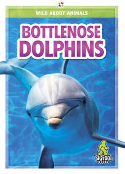 Hardcover Bottlenose Dolphins Book