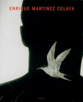 Hardcover Enrique Martinez Celaya Book