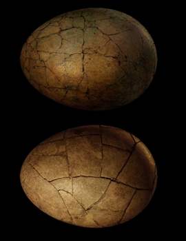 Sketch Book : Dinosaur Egg Theme - White Blank Numbered Sheets for Drawing or Note-Taking, Glossy Cover (8. 5*11 , 105 Pages)