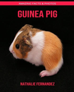 Guinea pig: Amazing Facts & Photos