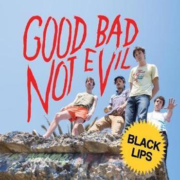 Vinyl Good Bad Not Evil (Deluxe Edition) Book